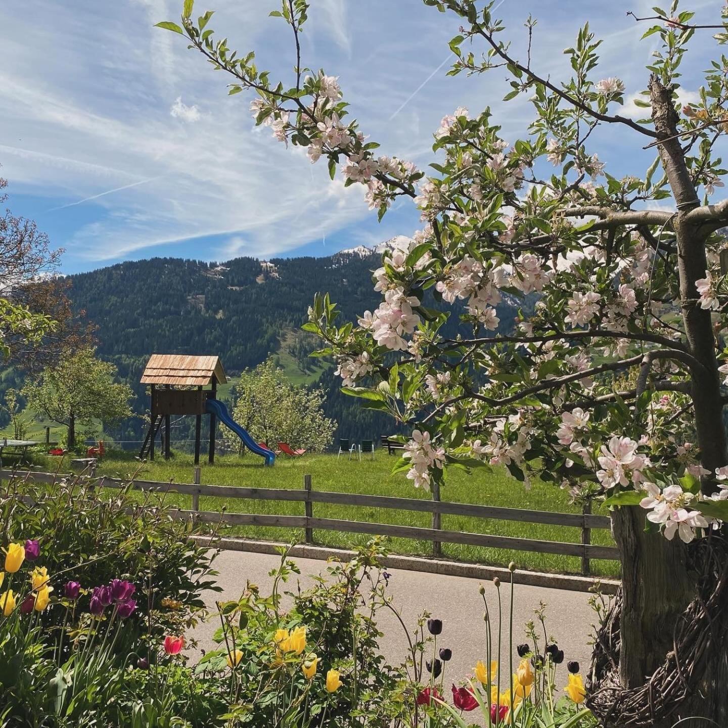 Hotel Alpenland 모소 외부 사진